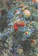 John Singer Sargent Pomegranates (mk18) oil painting on canvas